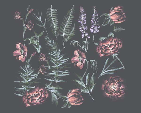 PHOTOWALL / Flower and Plants Harmony (e313671)