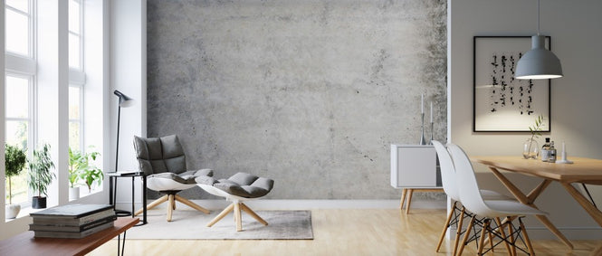 PHOTOWALL / Flushed Concrete (e313673)