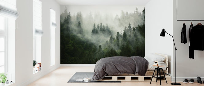 PHOTOWALL / Foggy Forest (e313674)