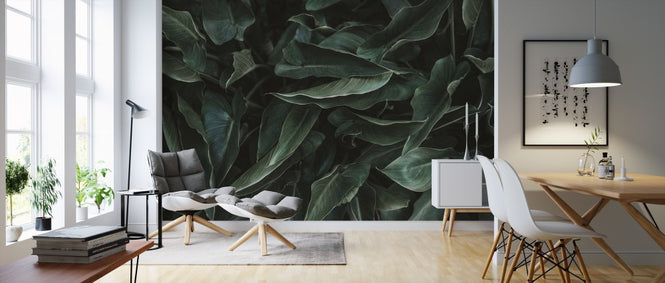 PHOTOWALL / Succulent (e313700)