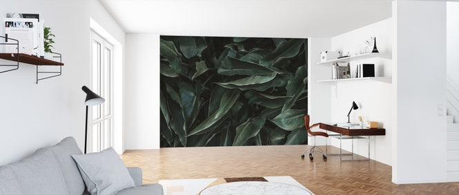 PHOTOWALL / Succulent (e313700)