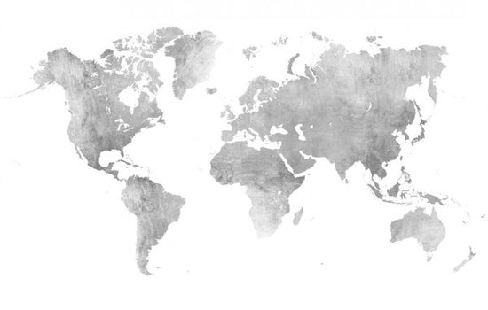 PHOTOWALL / World Map Brushed Metal II (e313721)