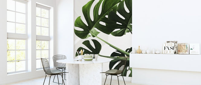 PHOTOWALL / Monstera Leaves (e313402)