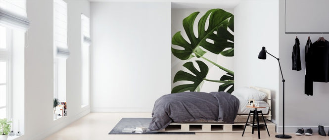 PHOTOWALL / Monstera Leaves (e313402)