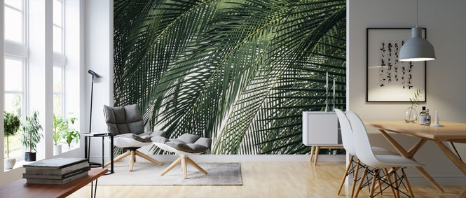PHOTOWALL / Palm Tree (e313416)