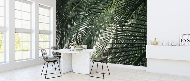 PHOTOWALL / Palm Tree (e313416)