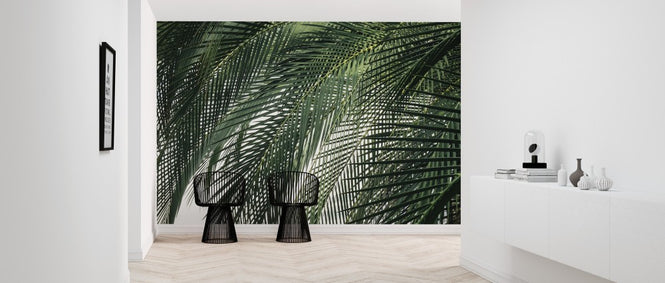 PHOTOWALL / Palm Tree (e313416)