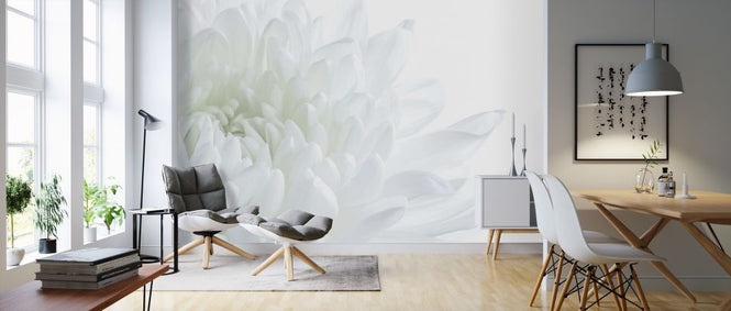 PHOTOWALL / White Flower Blossom (e313423)