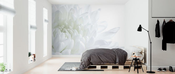PHOTOWALL / White Flower Blossom (e313423)