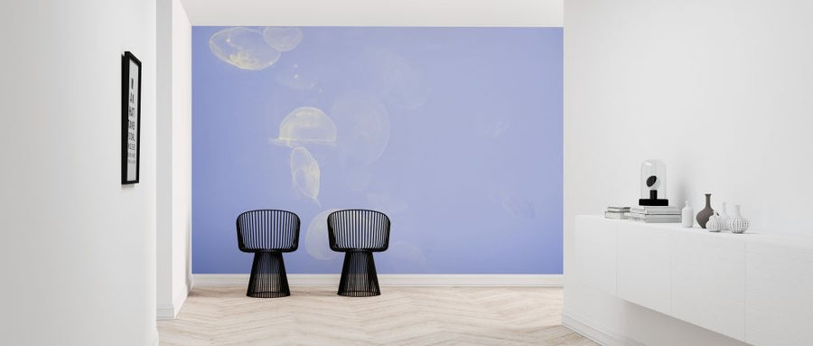 PHOTOWALL / La Rochelle Jellyfish (e313424)