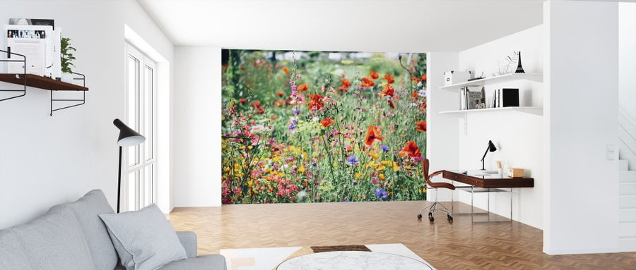 PHOTOWALL / Beautiful Wildflower (e313440)