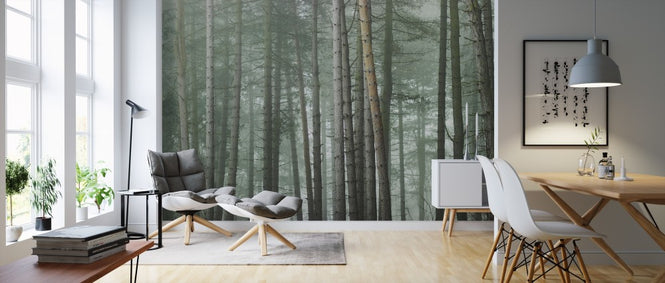 PHOTOWALL / Misty Forest (e313880)