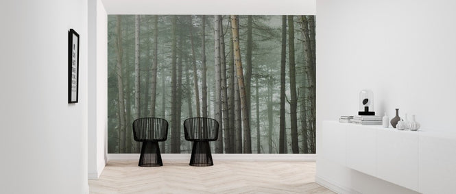 PHOTOWALL / Misty Forest (e313880)