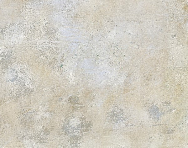 PHOTOWALL / Soft Toned Scratched Wall (e313887)