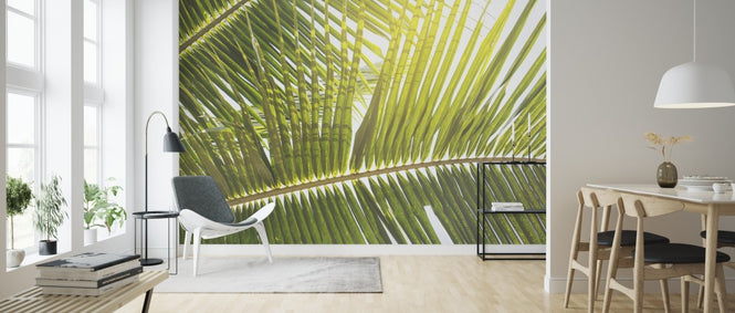 PHOTOWALL / Sunlight trough Palm Leaf (e313889)