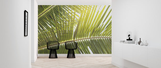 PHOTOWALL / Sunlight trough Palm Leaf (e313889)