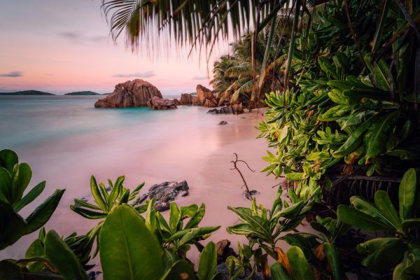 PHOTOWALL / Tranquil Paradise (e313891)