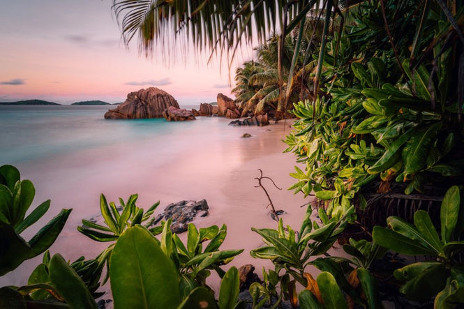 PHOTOWALL / Tranquil Paradise (e313891)