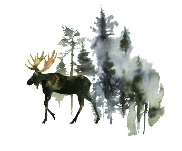 PHOTOWALL / Watercolor Elk in Forest (e313894)