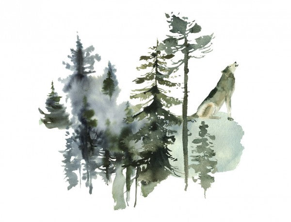 PHOTOWALL / Watercolor Wolf Forest (e313898)