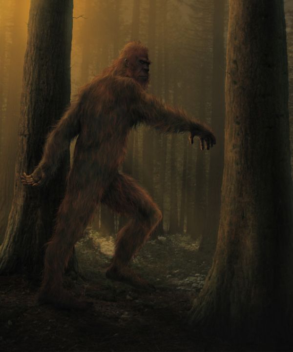 PHOTOWALL / Bigfoot (e313825)