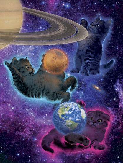 PHOTOWALL / Cosmic Kittens (e313834)
