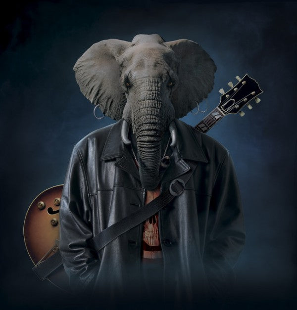 PHOTOWALL / Elephice Cooper (e313840)