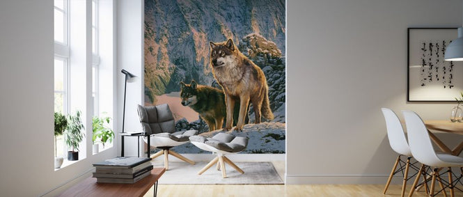 PHOTOWALL / Wolf Couple in Sunset (e313869)