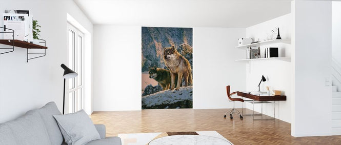PHOTOWALL / Wolf Couple in Sunset (e313869)