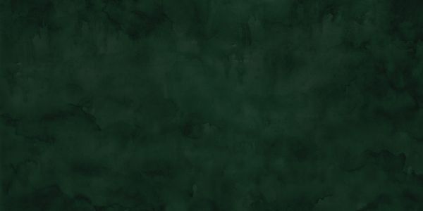 PHOTOWALL / Watercolour - Dark Emerald (e314453)