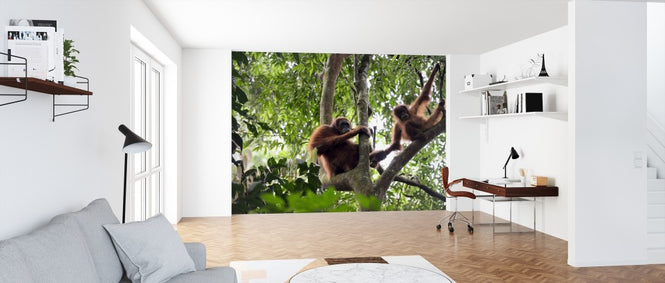 PHOTOWALL / Female and Infant Orangutan (e314300)