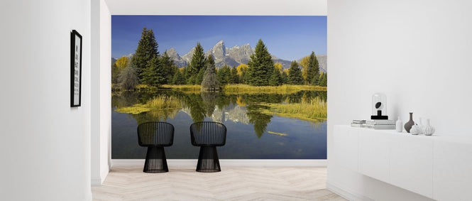 PHOTOWALL / Beaver Pond (e314485)
