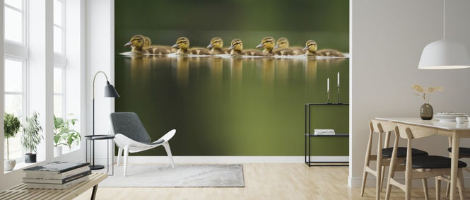PHOTOWALL / Line of Mallard (e314487)