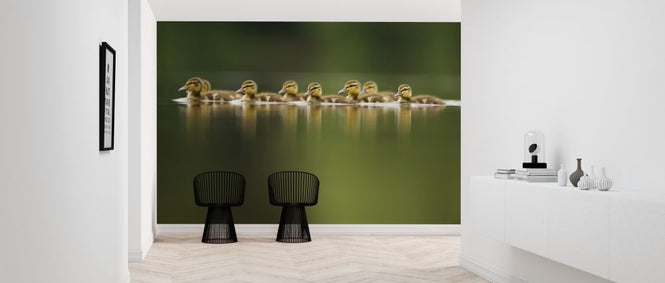 PHOTOWALL / Line of Mallard (e314487)
