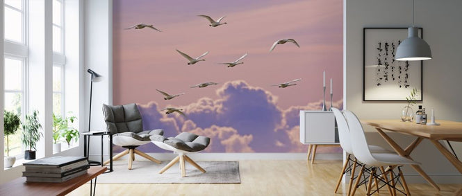 PHOTOWALL / Whooper Swans (e314489)