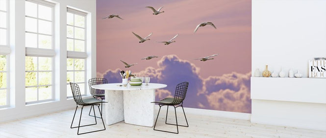 PHOTOWALL / Whooper Swans (e314489)