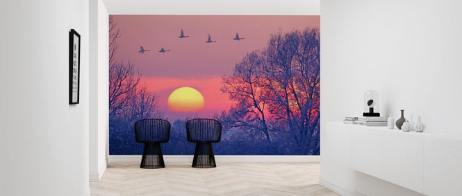 PHOTOWALL / Whooper Swans at Dusk (e314490)