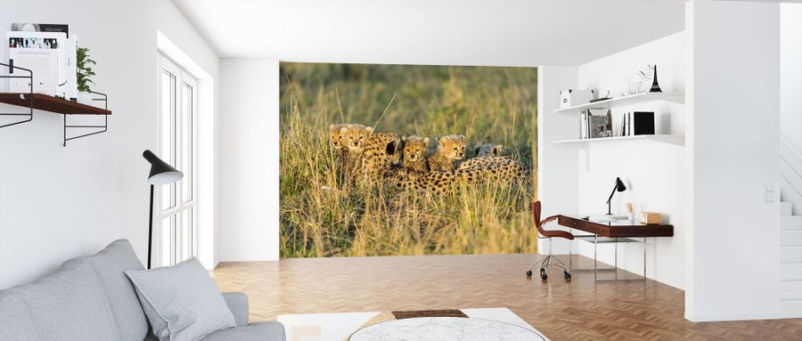 PHOTOWALL / Female Cheetah and Cubs (e314504)