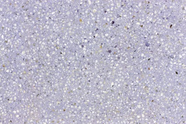 PHOTOWALL / Lavender Terrazzo (e314468)