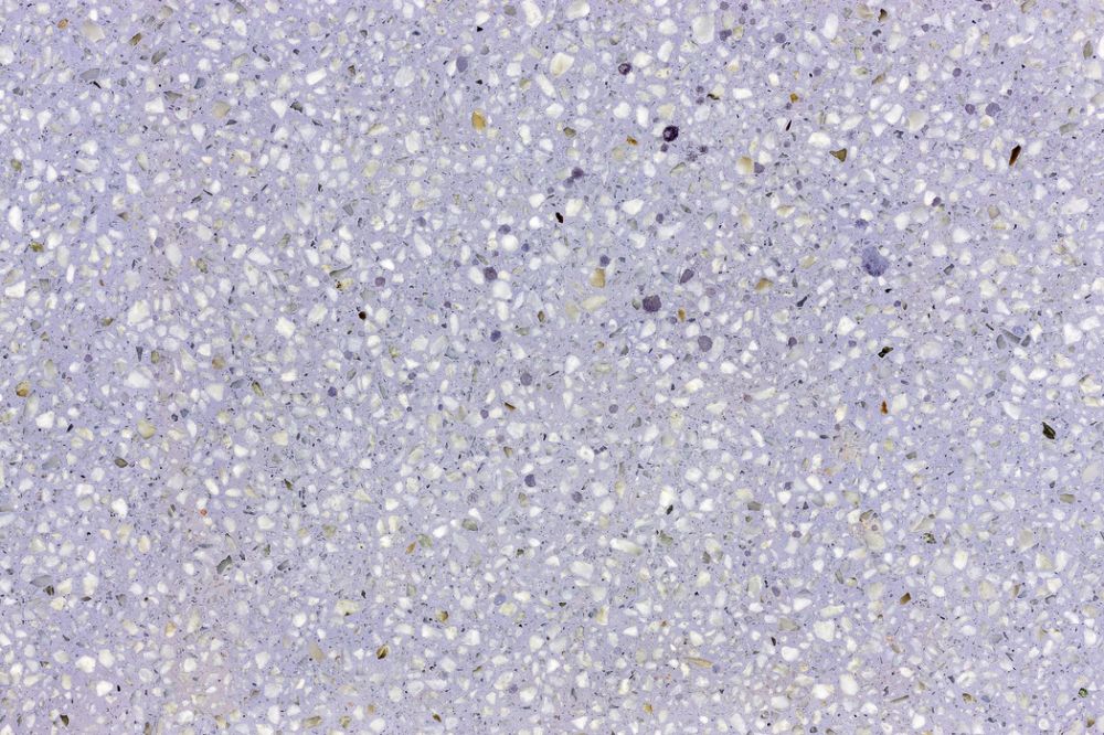 紫雲ページ PHOTOWALL / Lavender Terrazzo (e314468) | 輸入壁紙専門店 WALPA