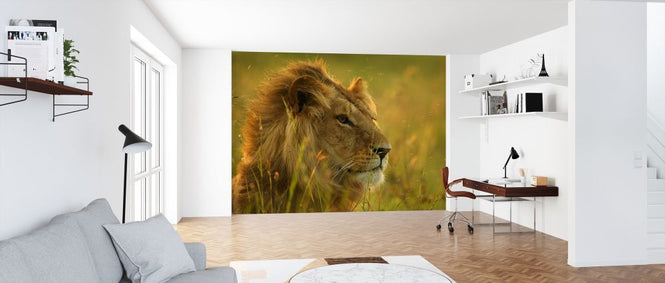 PHOTOWALL / Resting Lion (e314419)