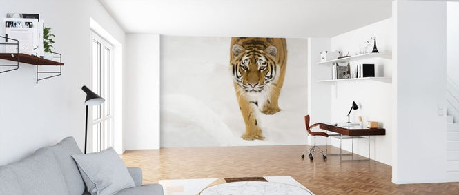 PHOTOWALL / Siberian Tiger (e314435)