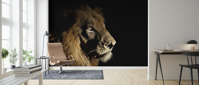 PHOTOWALL / Lion on Spot Light (e314513)