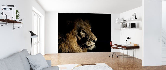 PHOTOWALL / Lion on Spot Light (e314513)