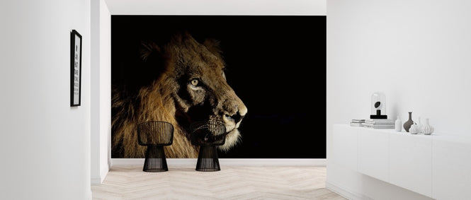 PHOTOWALL / Lion on Spot Light (e314513)