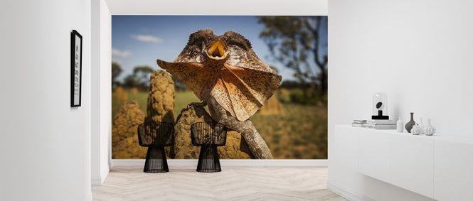 PHOTOWALL / Frill Neck Lizard (e314533)