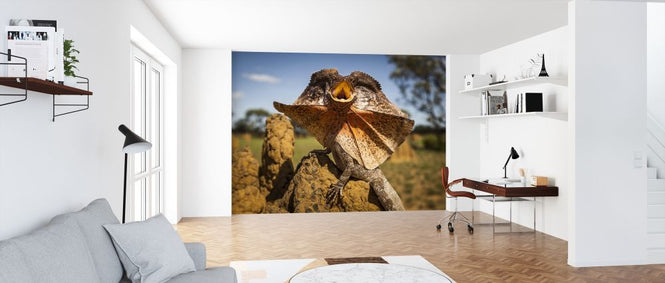 PHOTOWALL / Frill Neck Lizard (e314533)