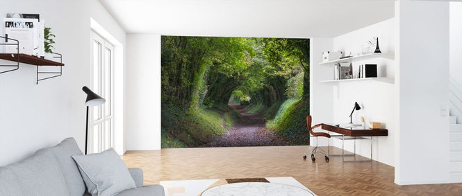PHOTOWALL / Tunnel of Trees (e314532)