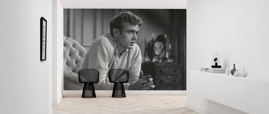 PHOTOWALL / James Dean in East of Eden (e314721)