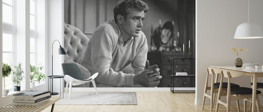 PHOTOWALL / James Dean in East of Eden (e314721)